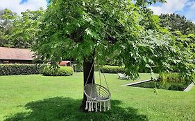 B&B De Levensboom